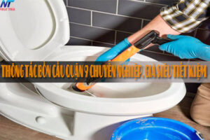 Thông tắc bồn cầu quận 9 chuyên nghiệp, giá siêu tiết kiệm