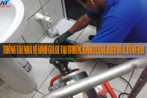 Thông tắc nhà vệ sinh giá rẻ tại TPHCM, Bình Dương, Biên Hòa, Đồng Nai